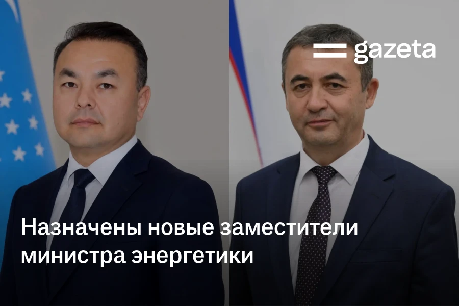 Назначены новые заместители министра энергетики