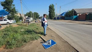 Поход в магазин за булочками изменил жизнь семьи из Актобе