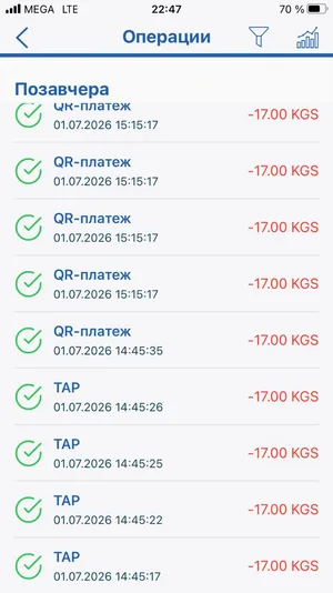 В Бишкеке за одну поездку списали деньги девять раз: жалобы на систему «Тулпар»