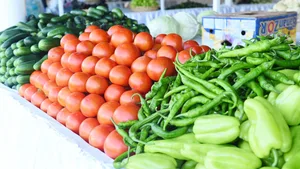 Таджикистан развивает сельскохозяйственное производство