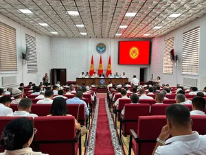 От дорог до семейных драм: с чем жители регионов обращались к властям