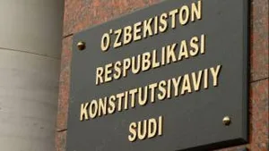 Нормы о деятельности адвоката в качестве работника юридической службы полностью соответствуют Конституции