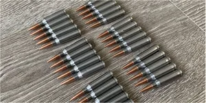 У мужчины нашли 86 боевых патронов в автомобиле. Какой приговор вынесли?