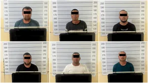 В Ошской области пресекли незаконный вывоз 229 голов скота