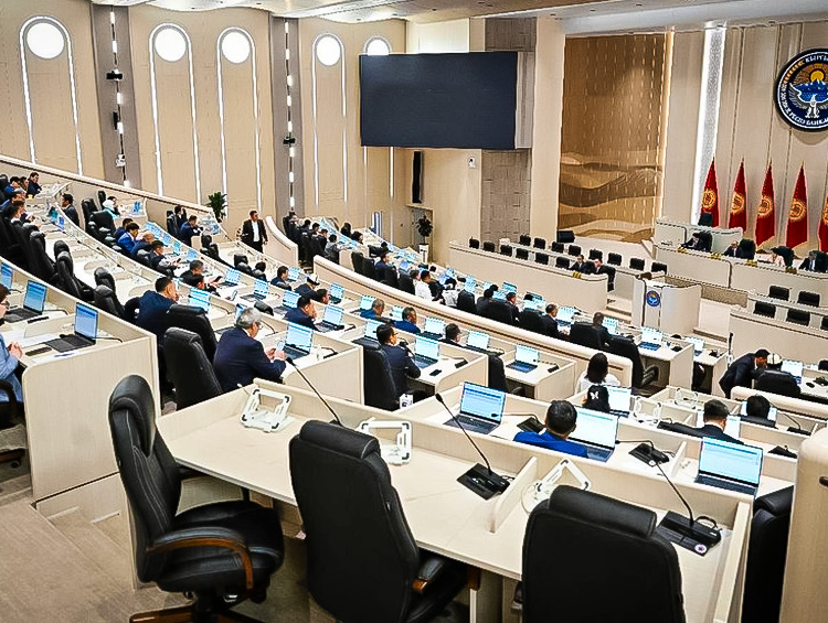 Полгода работы VIII созыва: что говорят политики и эксперты о новом парламенте