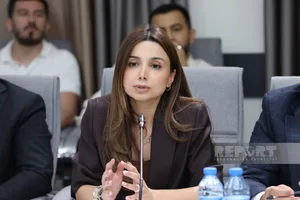 Айтен Мамедова: В Азербайджане родители смогут контролировать активность детей в соцсетях