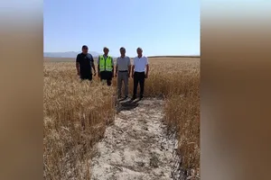 В Лейлекском районе проверили 3 семеноводческих кооператива