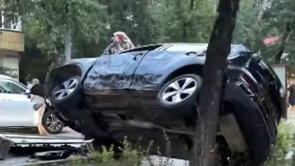 Необычное ДТП произошло в центре Алматы: авто повисло на дереве