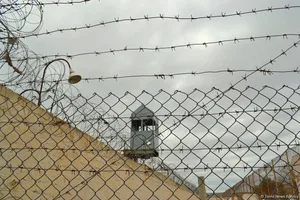 В Азербайджане амнистия затронула более 22 тысяч человек