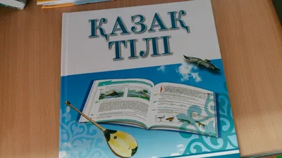 “Даже сотрудники министерства не сдадут“. Депутаты раскритиковали тест по казахскому языку