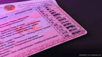 Не только ОАЭ - в каких странах можно ездить с водительскими правами Казахстана