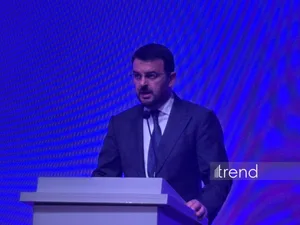 AmCham Azerbaijan о необходимости бизнесу адаптироваться к технологическим изменениям