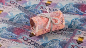 Повышение будет поэтапным - министр о двукратном увеличении МЗП