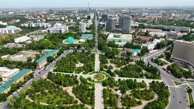 В Минэнерго Казахстана опровергли фейк о причастности к блэкауту в Узбекистане