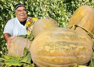 В Узбекистане утвердили перечень сельхозпродукции с нулевой ставкой НДС