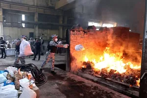 В Азербайджане сожгли 5 тонн наркотиков и десятки тысяч кустов конопли