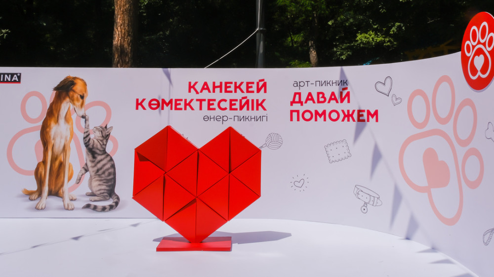 Что важно знать перед тем, как забрать питомца из приюта