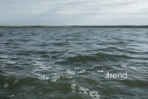 Найдено тело еще одного из братьев, утонувших в море в Бузовне