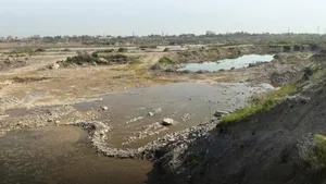 В Ташкенте задержаны сотрудники фирмы, незаконно добывшие песок и гравий почти на 2 трлн сумов