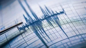 В Японии произошло землетрясение магнитудой 4,9