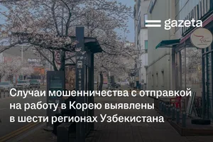 Случаи мошенничества с отправкой на работу в Корею выявлены в шести регионах Узбекистана