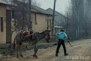 Как бедность влияет на человеческий капитал? Анализ на примере образования