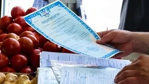 Кыргызстан планирует перейти на электронные фитосанитарные сертификаты, - Минсельхоз