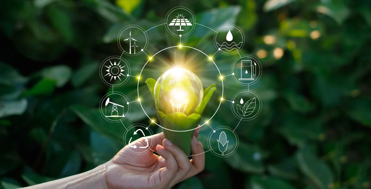 В Азербайджане будет сформирована аграрная информационно-консультационная система