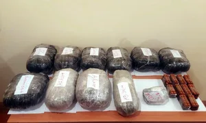За два дня в Азербайджане изъяли десятки кг наркотиков
