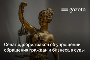 Сенат одобрил закон об упрощении обращения граждан и бизнеса в суды