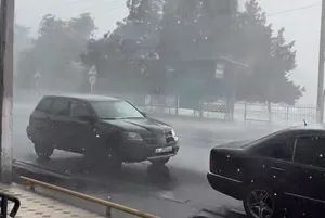 В Манасе из-за сильного ливня и ветра повреждены крыши домов и повалены деревья
