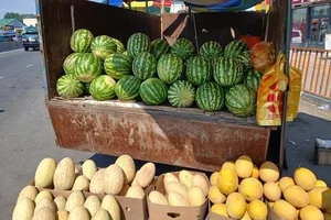 Арбузы и дыни из Узбекистана проверяют на нитраты и нитриты, - Минсельхоз