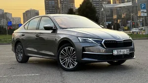 Почему они выбрали Škoda: четыре истории владельцев из Казахстана