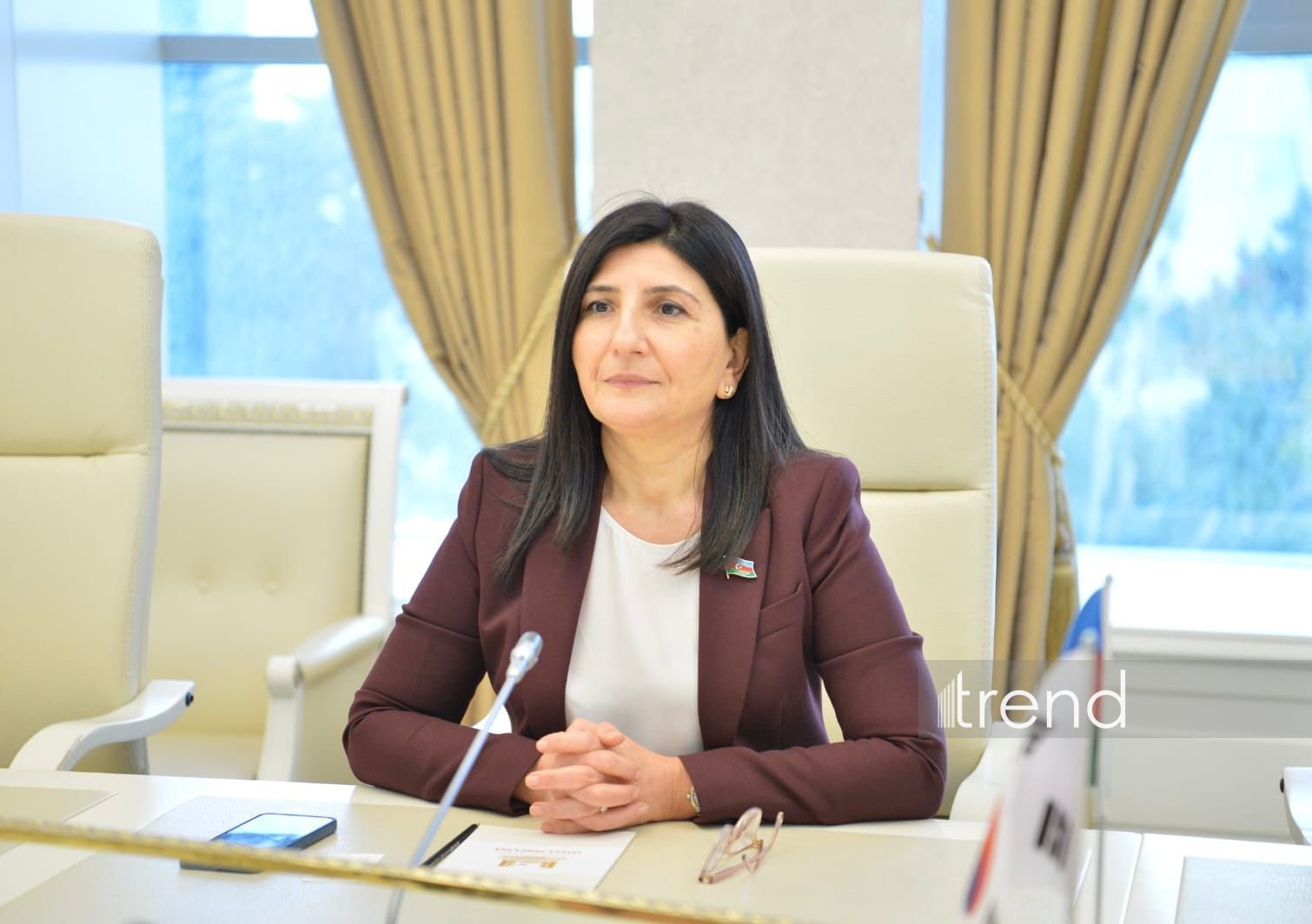 Севиль Микаилова участвует в 300-м заседании Исполнительного комитета МПС в Женеве
