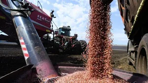 Таджикистан нарастил экспорт сельскохозяйственной продукции