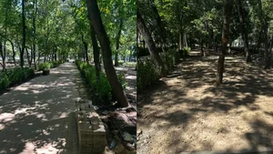 В акимате Алматы объяснили, зачем снова меняют плитку на аллее по Гагарина