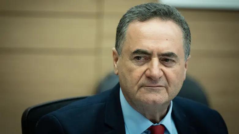 Кац заявил, что лидер «Хезболлы» заплатит головой за свои действия