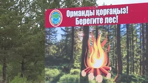 Пятый класс опасности: жителям Карагандинской области запретили ходить в лес