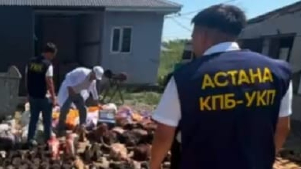 Опасное мясо поставляли в магазины и кафе Астаны: полицейские накрыли подпольный цех - видео