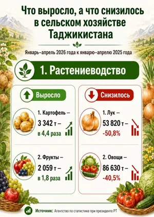Сельхозпроизводство в Таджикистане: рост в животноводстве и спад в растениеводстве