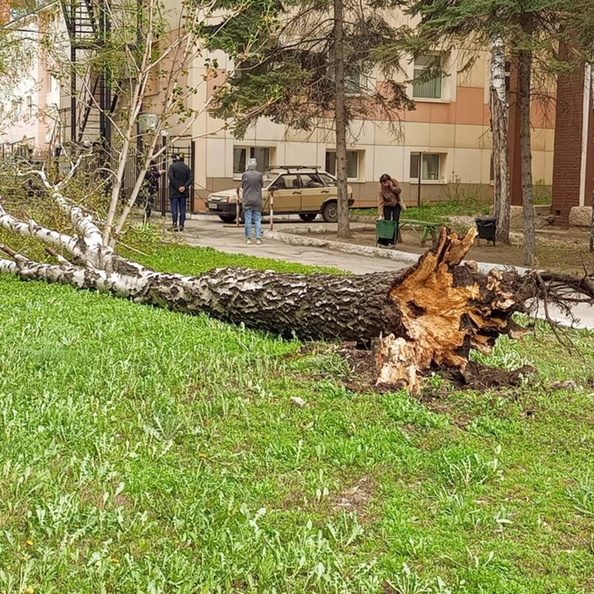 МЧС: В РФ из-за непогоды погиб ребенок, еще более 30 человек пострадали