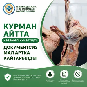 На Курман айт был усилен контроль: скот без документов не допускался на убой