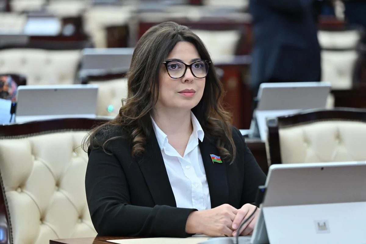 Сабина Салманова: Минная опасность замедляет процесс восстановления освобожденных территорий