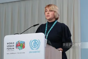 Ансари: Соцзащита людей с инвалидностью — одно из основных направлений соцполитики Азербайджана