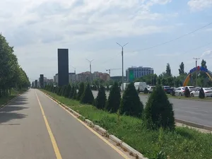 Бишкек без старых кустов: мэр рассказал о новом озеленении города