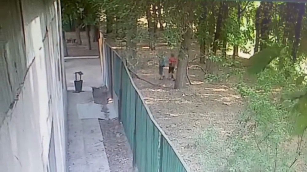Бойцовские собаки растерзали мальчика в Алматинской области: начался суд по громкому делу