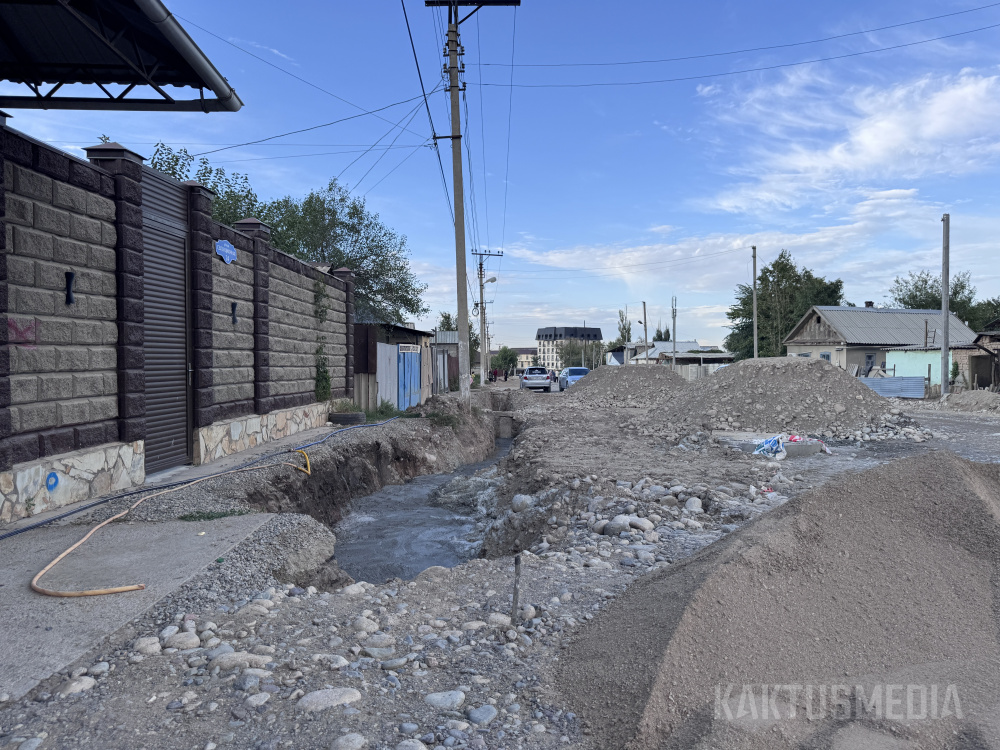На ул. Муромской все-таки снесли заборы для реконструкции дороги. И теперь там нет воды