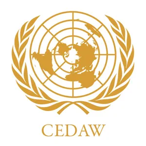 Кандидат от Азербайджана избран членом Комитета ООН CEDAW