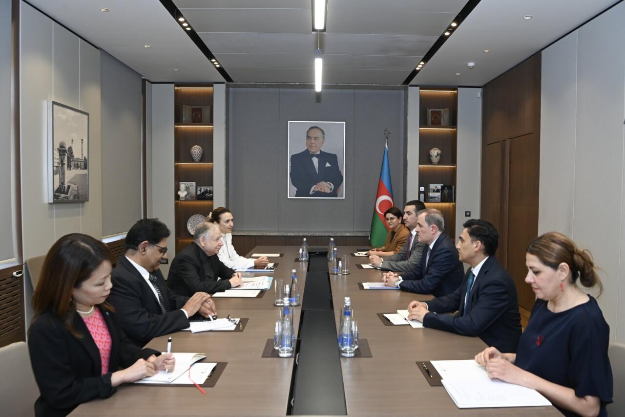 Глава МИД Азербайджана принял спецпосланника ООН