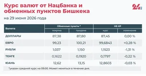 Евро продолжает расти, рубль стремительно дешевеет: курс валют на 29 июня